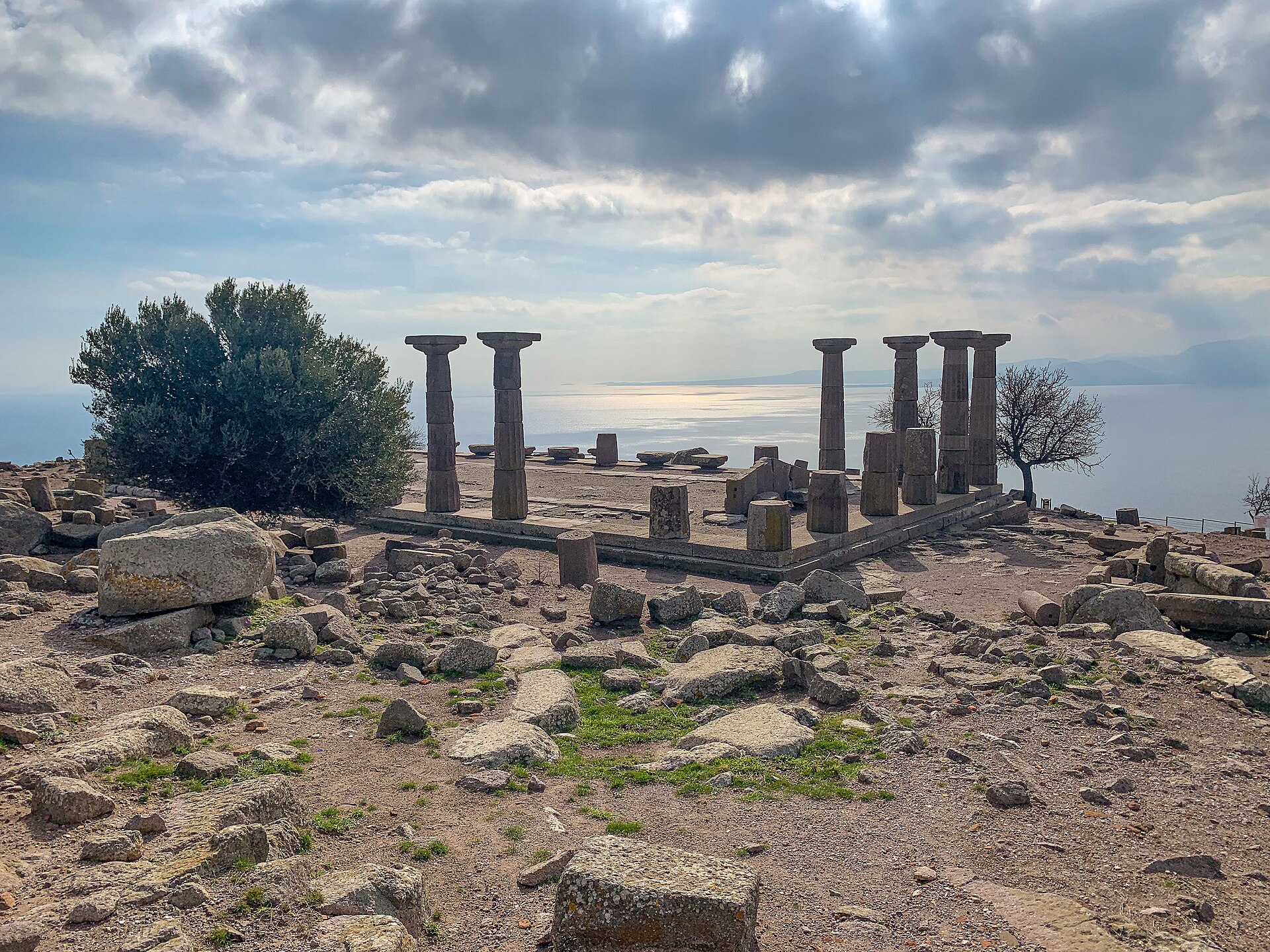 Moves to Assos