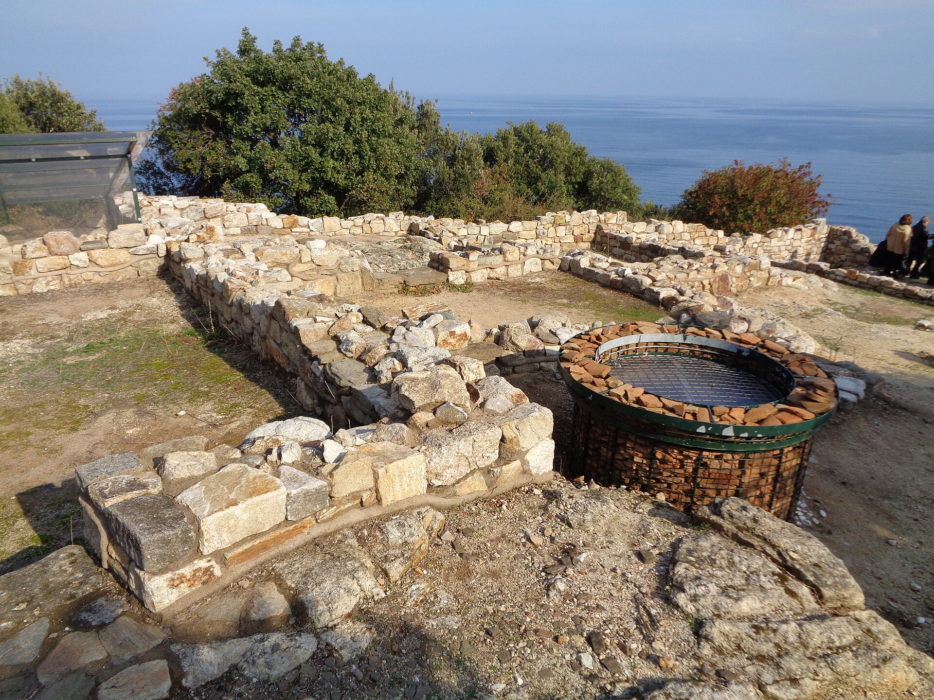 Dies at Chalcis