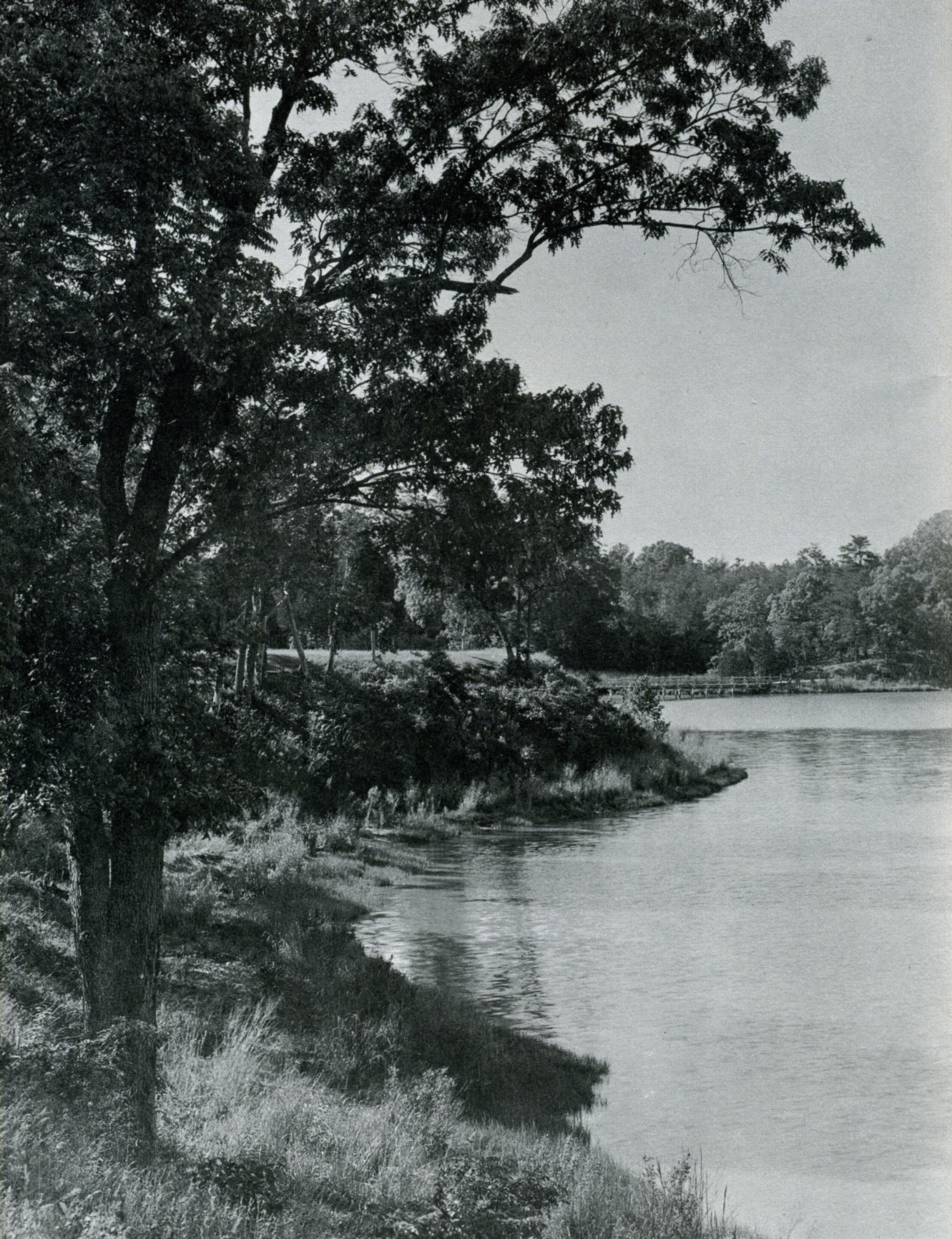 Born at Popes Creek