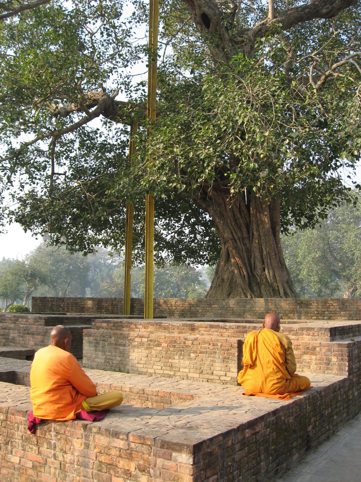Began the long Savatthi residence cycle
