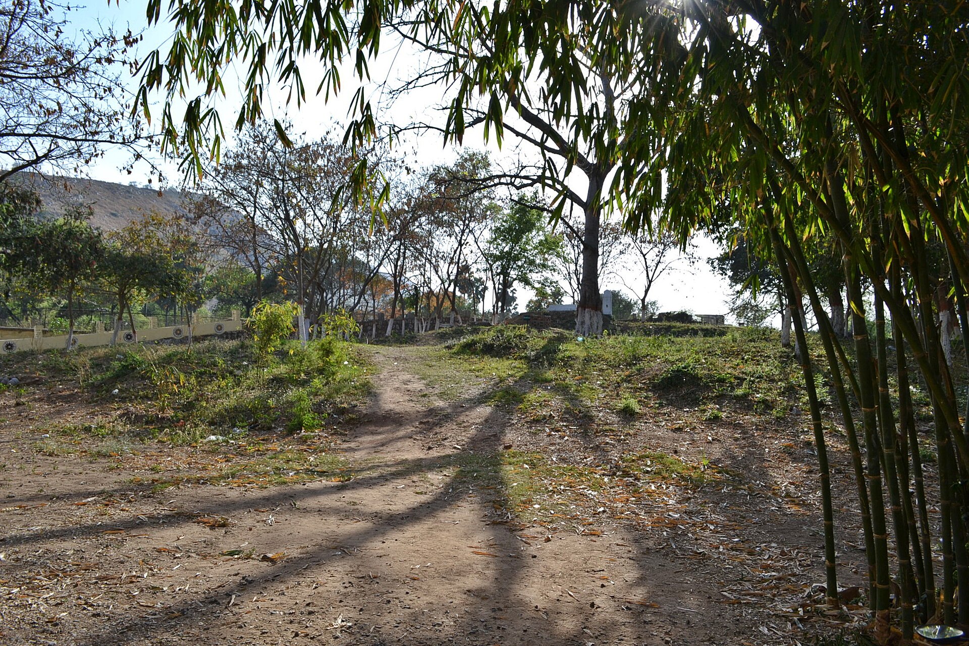 Established retreats at Veluvana