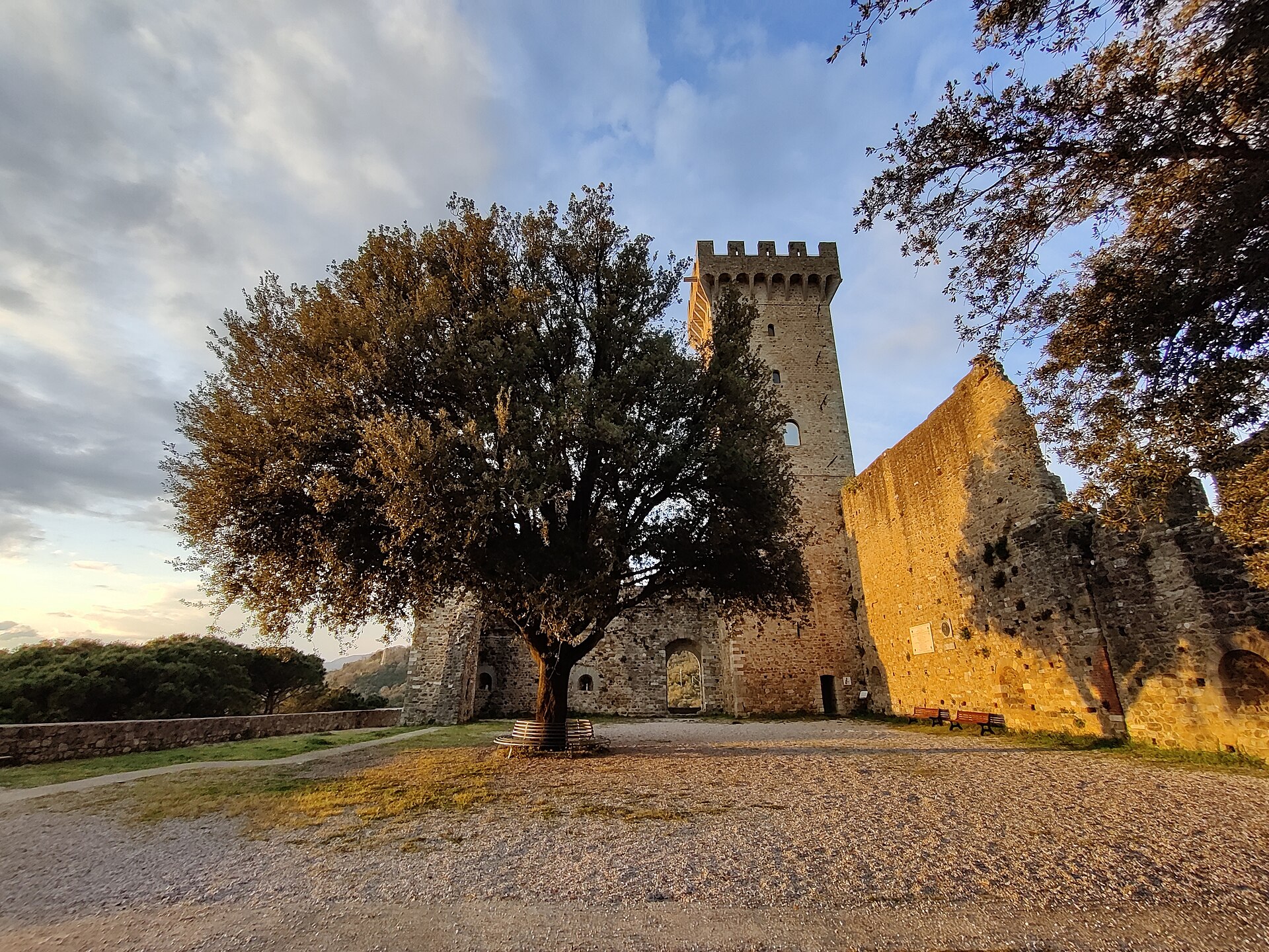 Concluded the Peace of Castelnuovo
