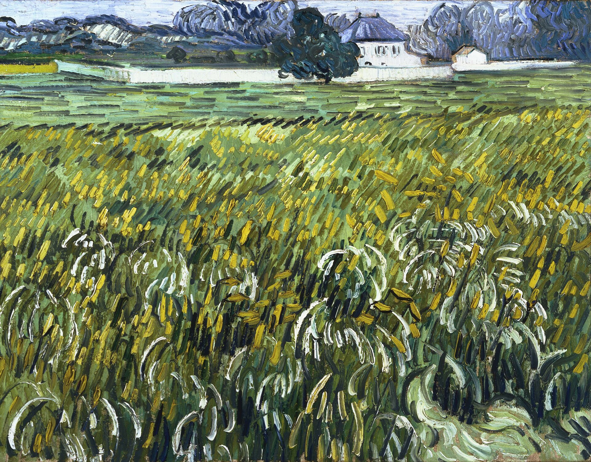 Arrives for final months in Auvers